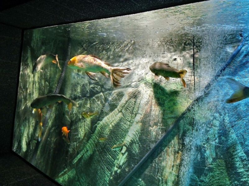 Constanta Aquarium